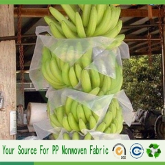 plátano de fabricación China proteger bolsa